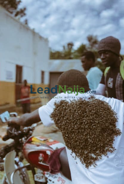 Man Returns Stolen Motorcycle After Covered In Bees (PHOTOS)