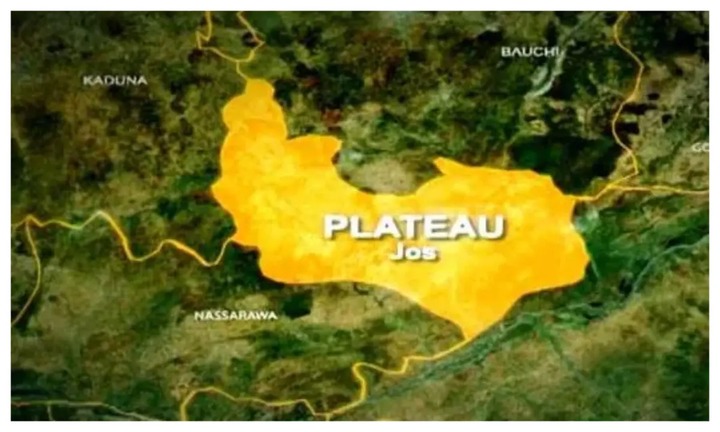 Fulani Group Finally Open Up Says: ‘There Will Be No Peace Until Berom Militias Stop Killing Our Herders, Cows’