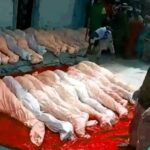 JUST-IN: Over 20 Killed As Terrorists Attack Zamfara Communities For Three Hours, Survivors Accuse Soldiers, Police Of Fleeing
