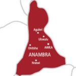 Tension As Gunmen Reportedly Kill Four Herders, Slaughter Cattle In Anambra