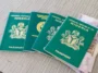 Nigeria Drops To 90th In Latest Global Passport Ranking - FULL LIST