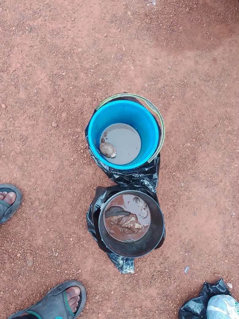 JUST IN: Oyo Police Arrest 10 Suspected Human Parts Merchants, Recover Heart, Skull